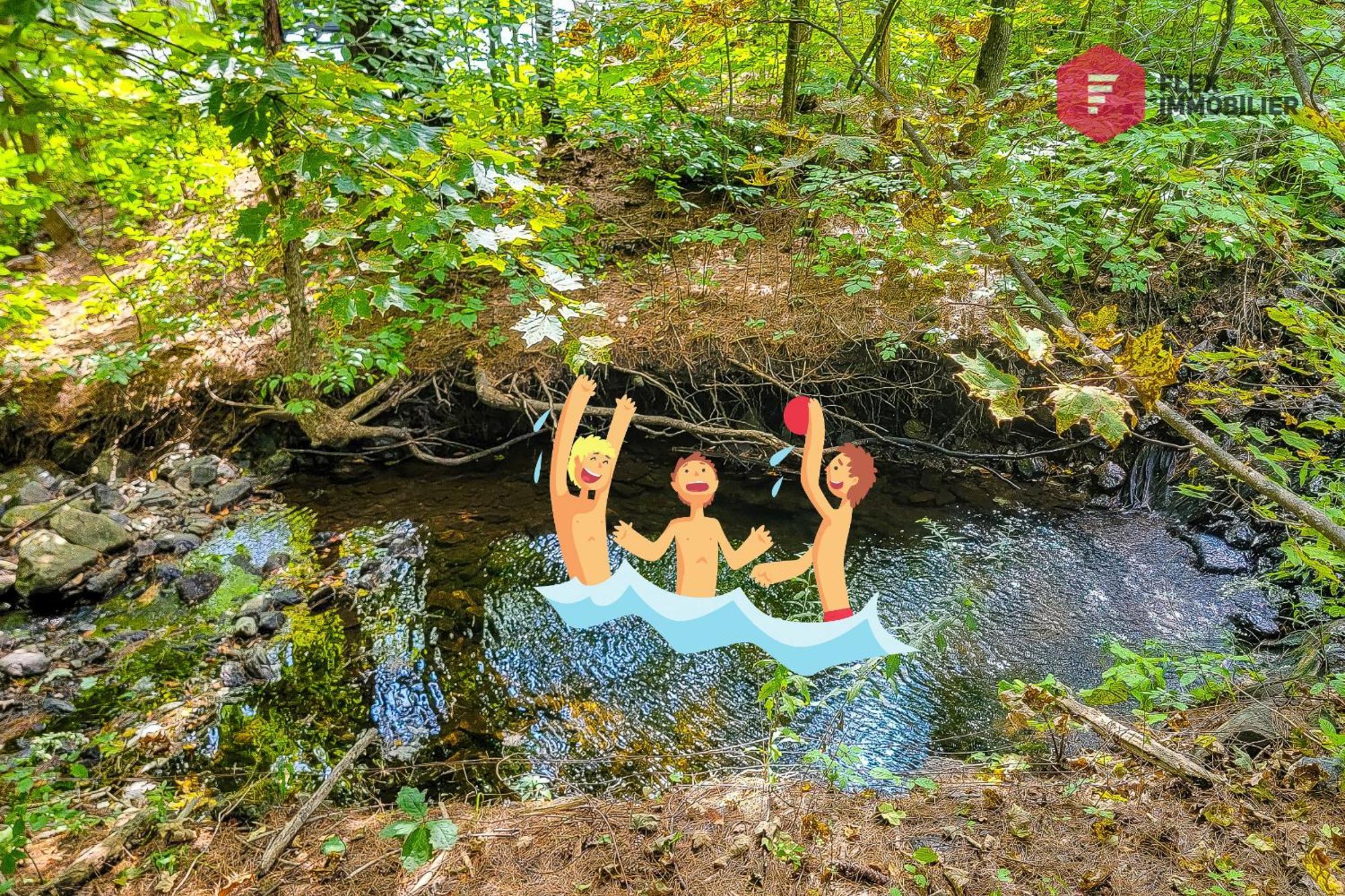 L'Arbre De La Montagne Orford - Ski Hiking Bicking Golf Beaches Magog Exterior photo